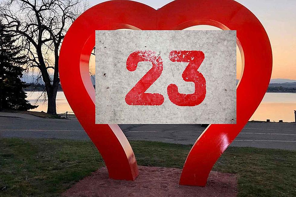 Steaks, Police, Chicken: 23 Things Lovelanders Want to See in 2023