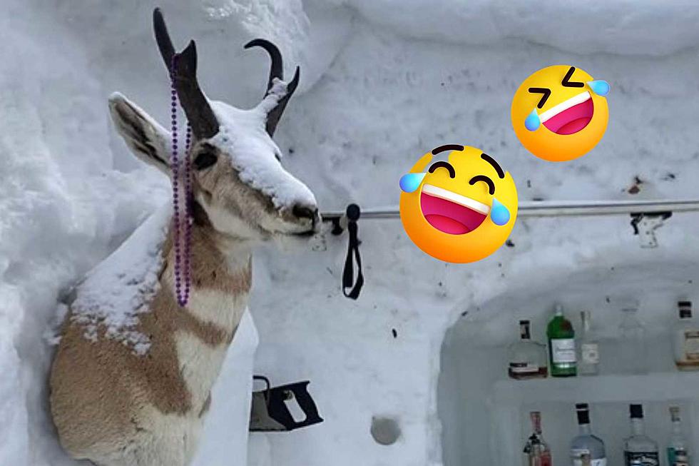 Steamboat Springs Colorado Man Creates Awesome Bar Out of Dumping of Snow