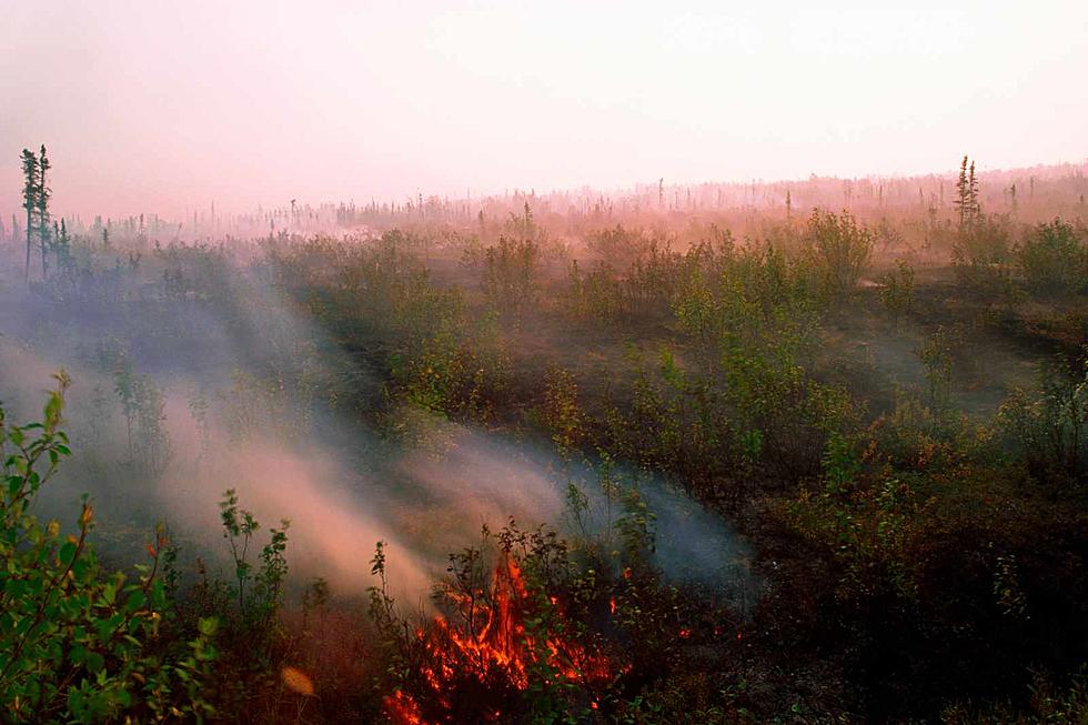 Wildfire and Wind Cause Entire Colorado Town to be Evacuated