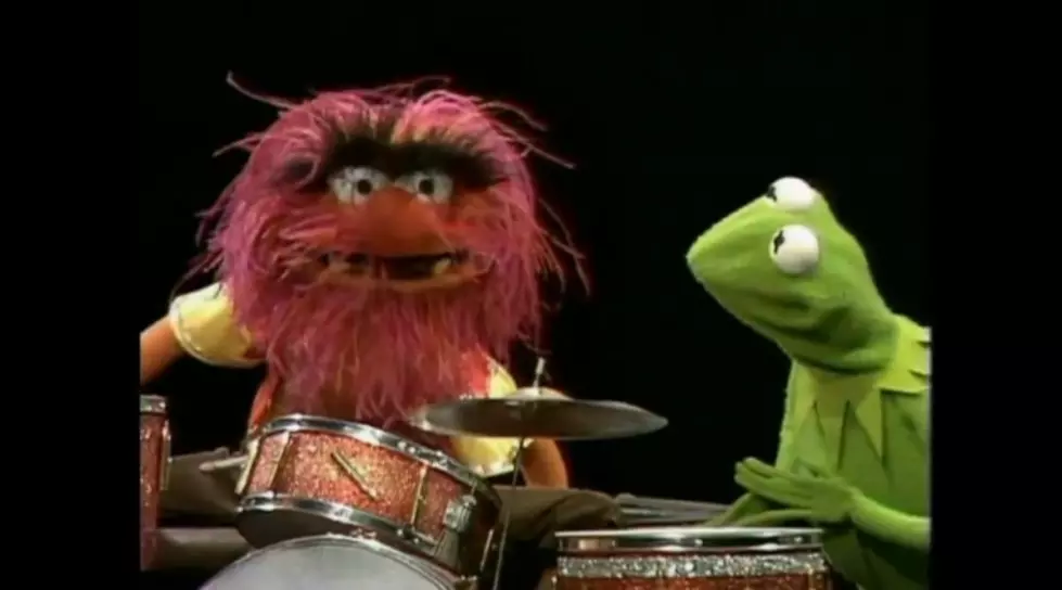 Animal Tops My list of Muppets
