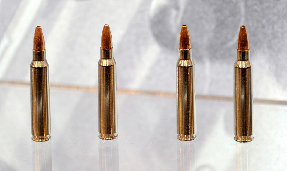 Ammo Manufacturer Creates Pork-Laced Bullets to Fight Terrorism