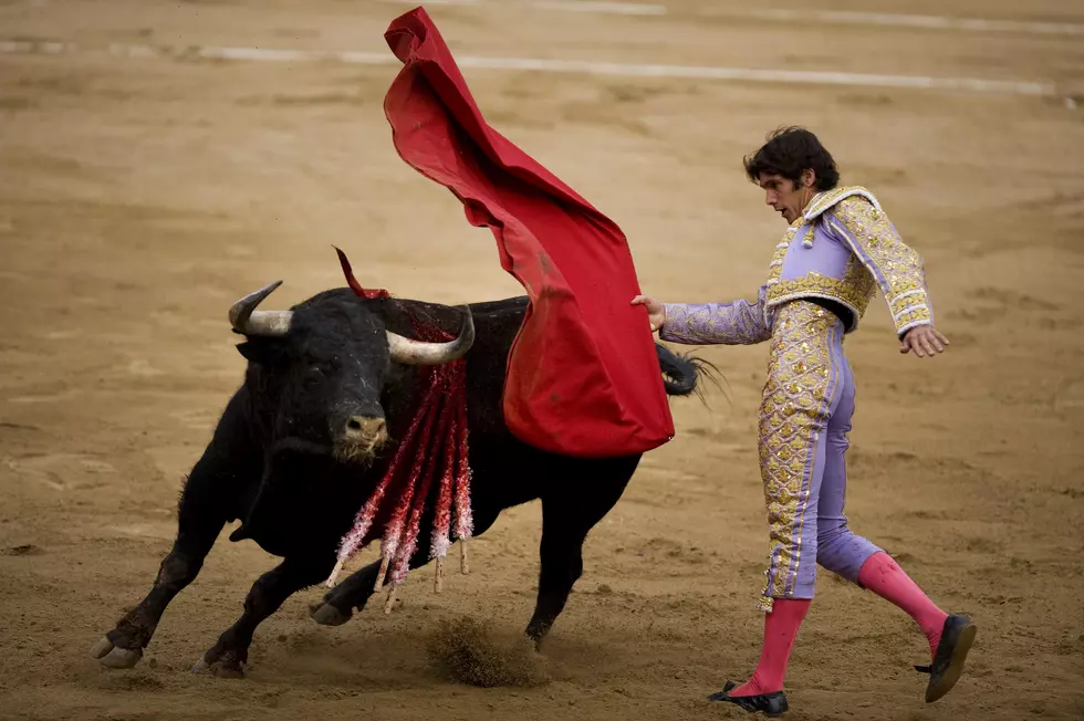 My Favorite Part of Bullfighting is When the Bull Wins