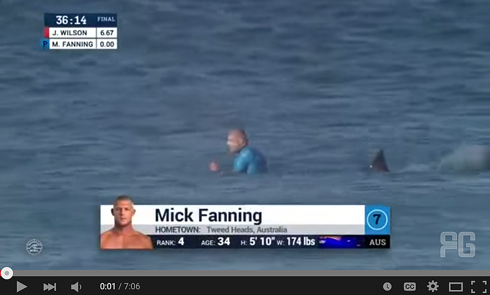 Shark Attack On Live TV