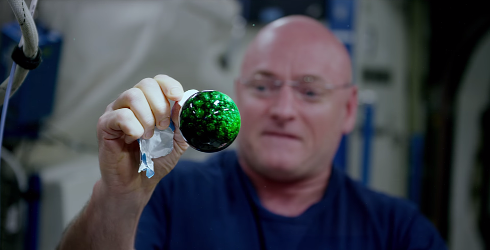 Watch Astronauts Make Colored Water Balls In Space (VIDEO)