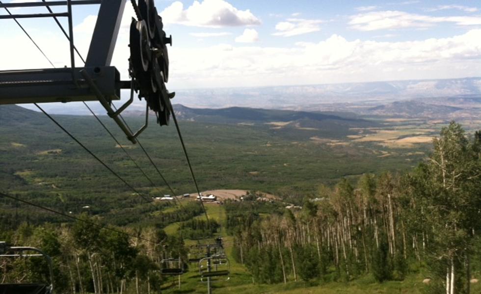 Taking a Ride to the Top of the World on the Grand Mesa