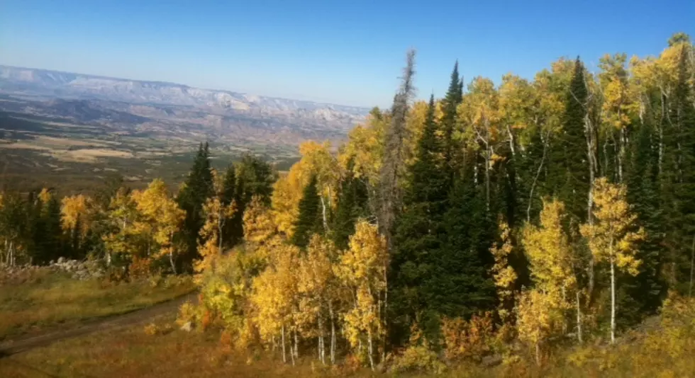 The Grand Mesa Is Ablaze…With Beauty