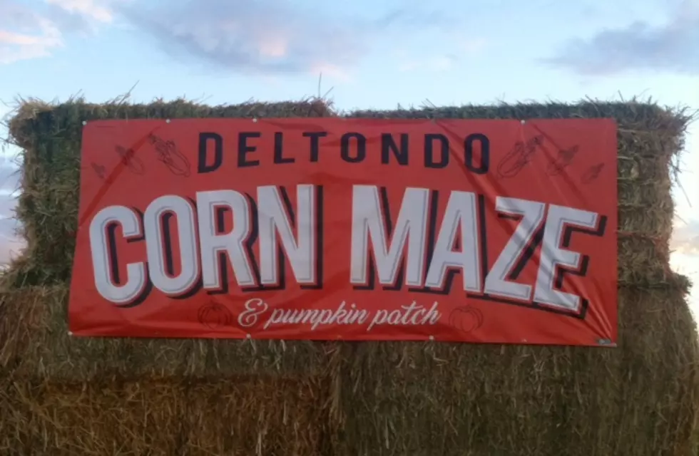 Make Time For the Deltondo Family Corn Maze