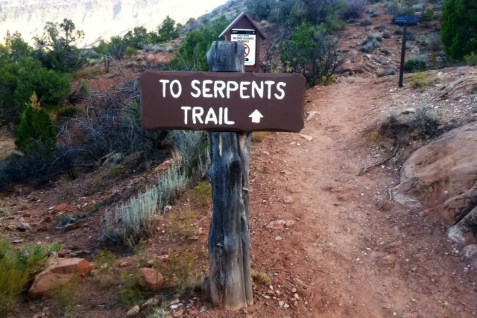 The Serpents Trail At Sunset