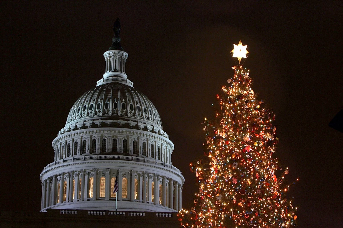U.S. Capital Christmas Tree Rolls into Junction This Evening
