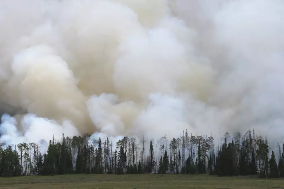 Colorado&#8217;s Reveille Wildfire Has Been Burning For Two Weeks