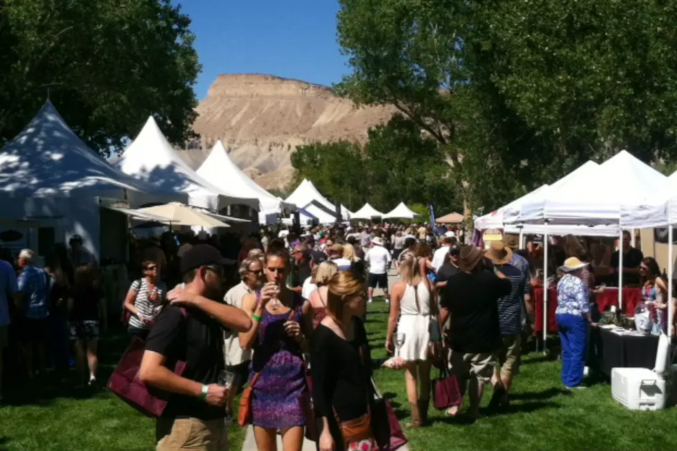 Here Are Colorado's 5 Best Summer Wine Festivals 