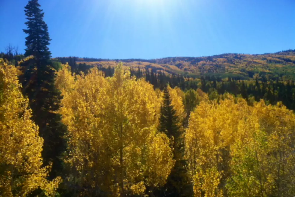 The western slope has some great spots to take in fall foliage.  