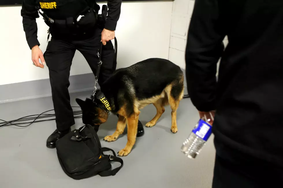 Weed-Sniffing Dogs No Longer Allowed Without Probable Cause