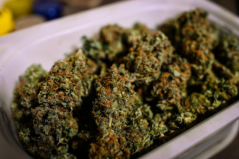 Wholesale Weed Prices Hit All Time Lows