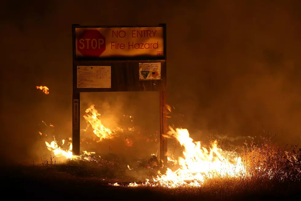 Open Fire Ban In Effect For Mesa County