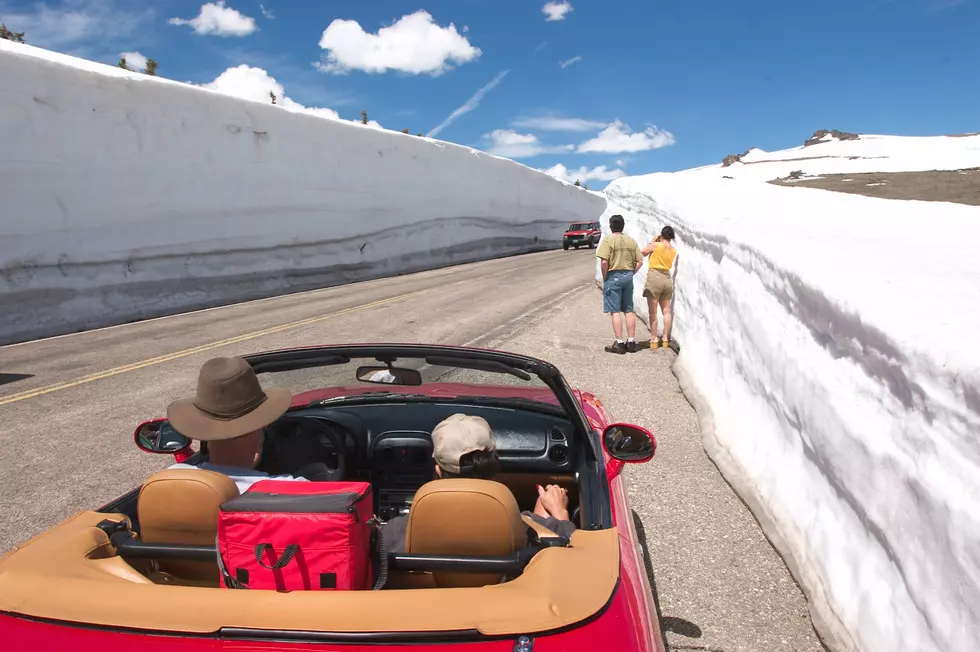 Trail Ridge Road Is Finally Open