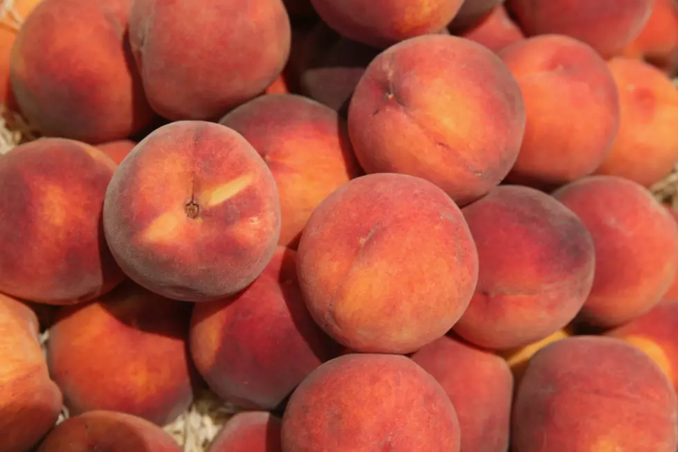 National yogurt company now making Palisade peach flavor