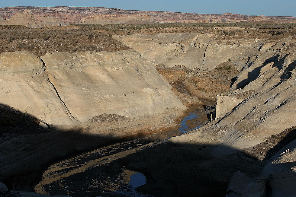 The feds want western states to cut Colorado River use.