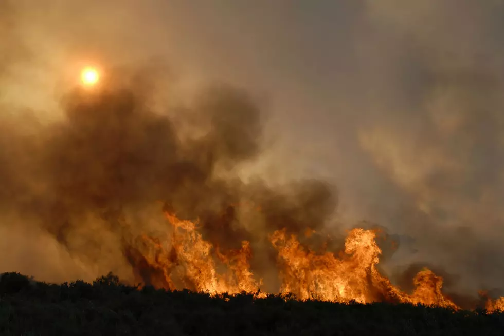 Prescribed Burns Will Clear Dry Debris Around Mesa County