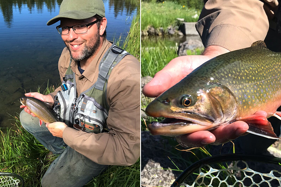 Ultimate Fly Fishing Trip Winner&#8217;s Experience on the Grand Mesa