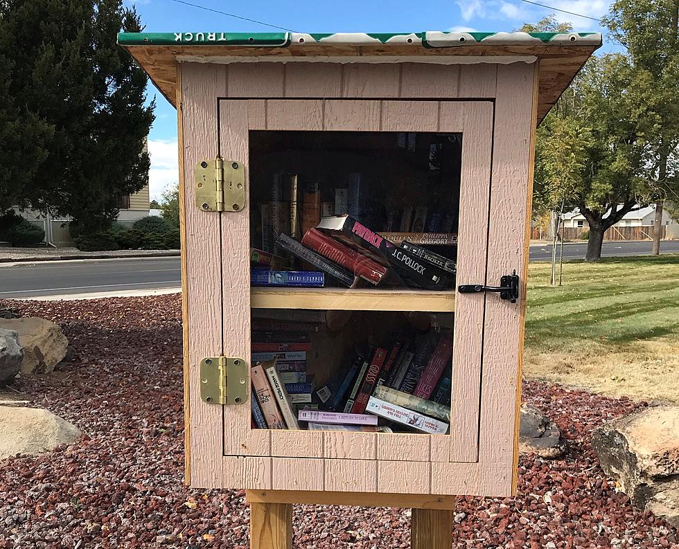Grand Junction Church Introduces Little Free Library