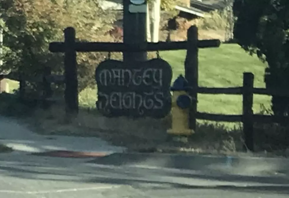 ‘Hidden’ Neighborhood Might Be the Coolest in Grand Junction