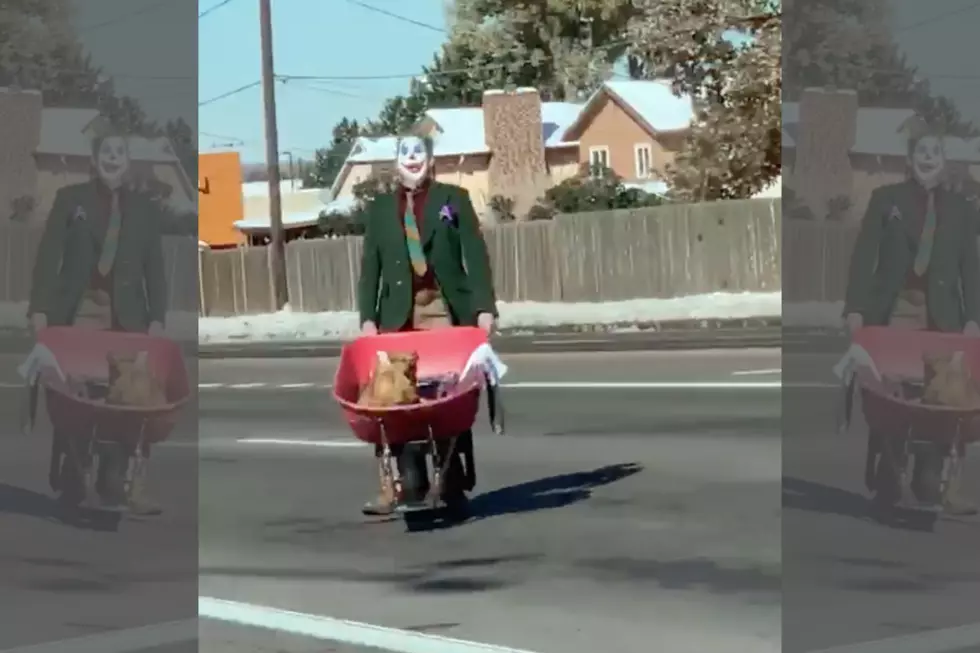 Masked Man Dances with Dog in Wheelbarrow in Colorado Street