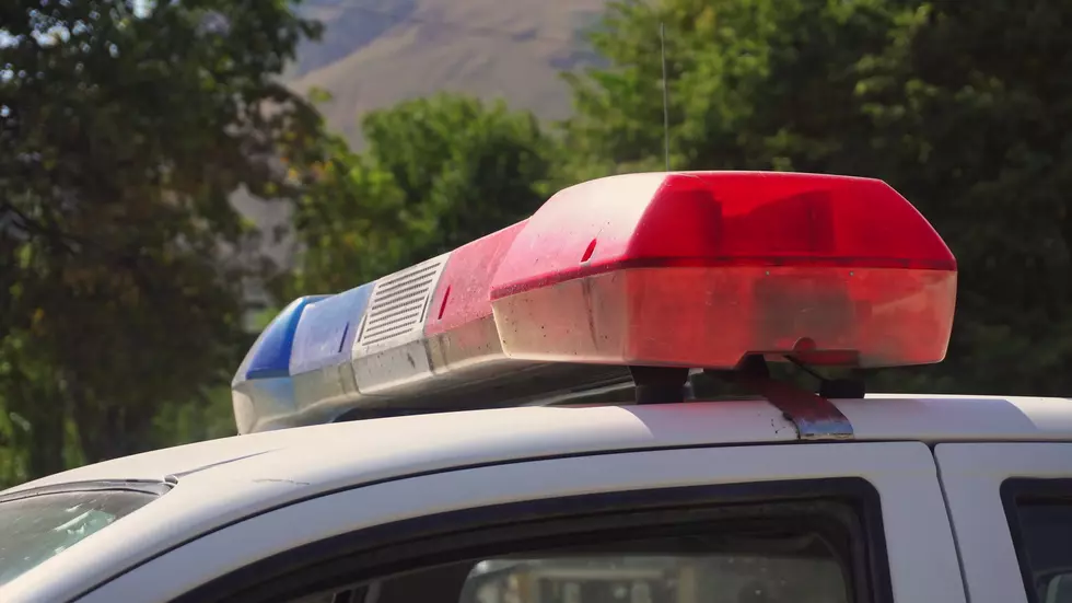 Colorado Boy Waves Toy Gun in Virtual Class, Police Visit