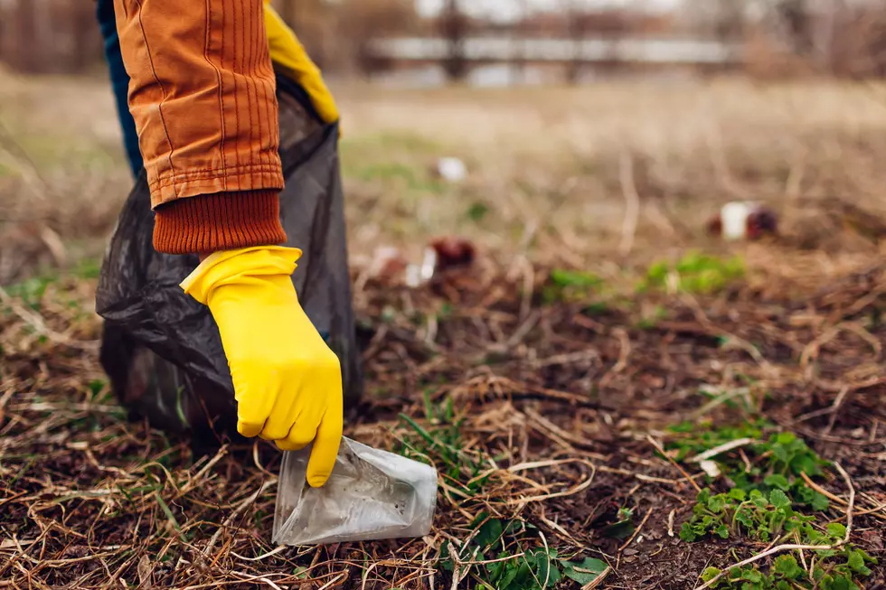 Colorado Park Ranger Forced to Clean Up Gender Reveal Trash