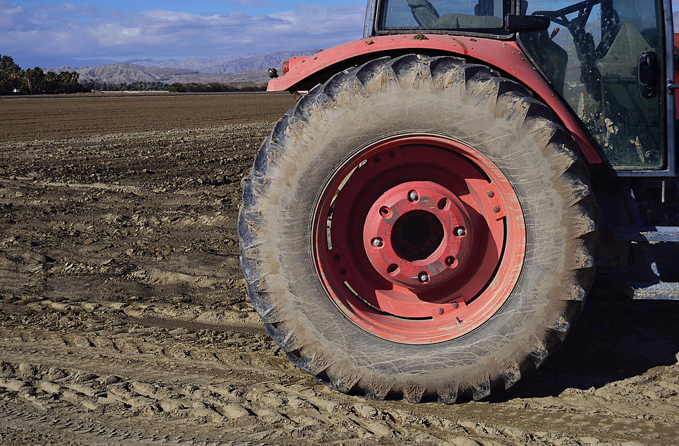 Tractor Driving Competition for Albany County Fair