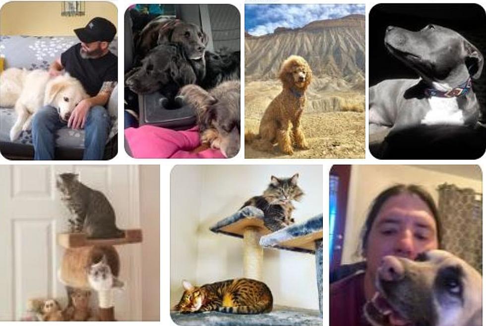 Grand Junction Shares Photos of Pets on National Pet Day