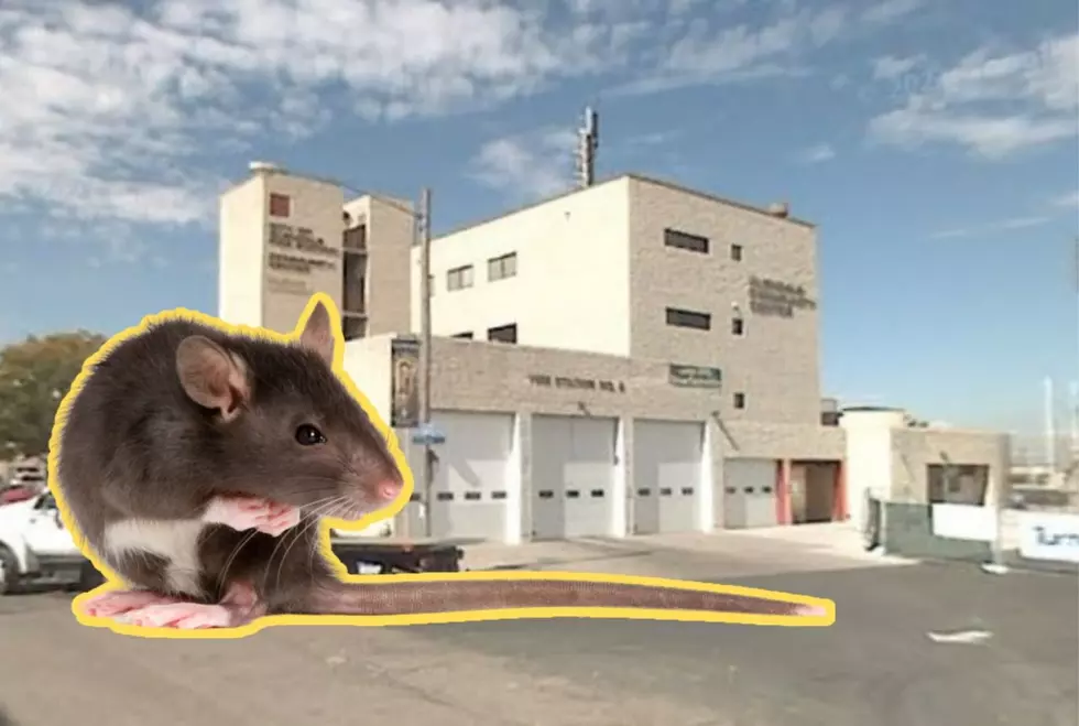 Investigation at a Colorado Fire Department Involves Stuffed Rat