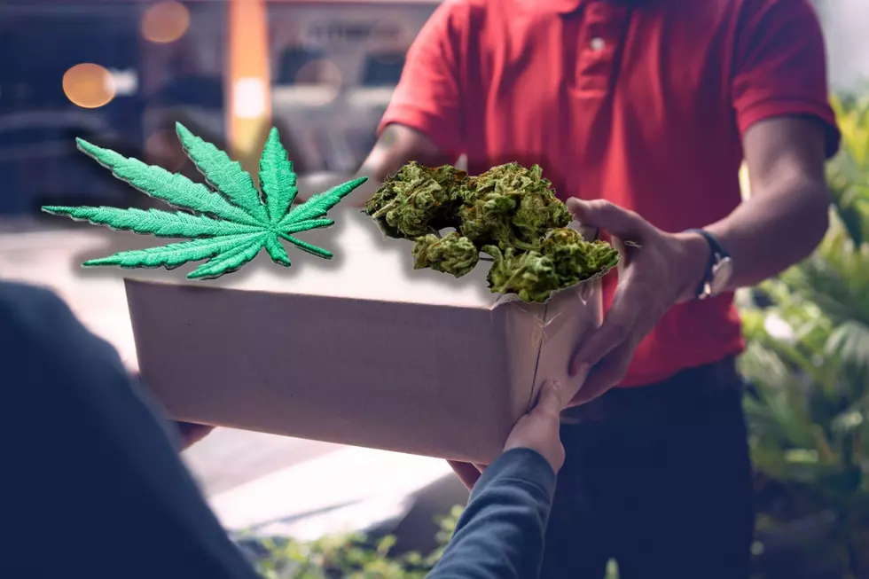 Colorado Marijuana Delivery Likely to Become Much More Prevalent