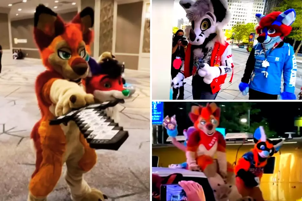 See Inside a Real-Life Furry Convention in Colorado
