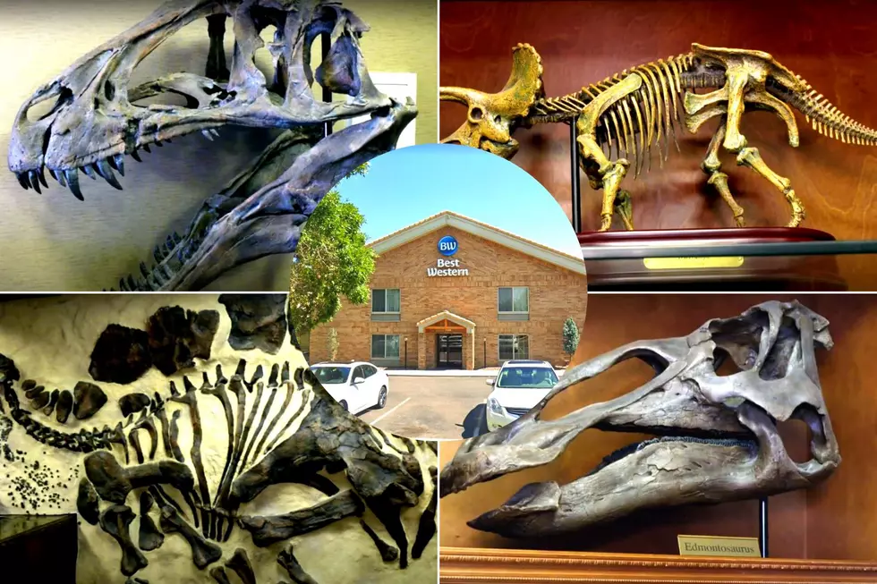 You Can Stay in a Colorado Hotel Full of Dinosaur Bones