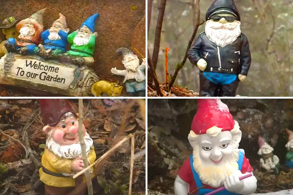 A Road in Colorado is Full of Gnome Figurines