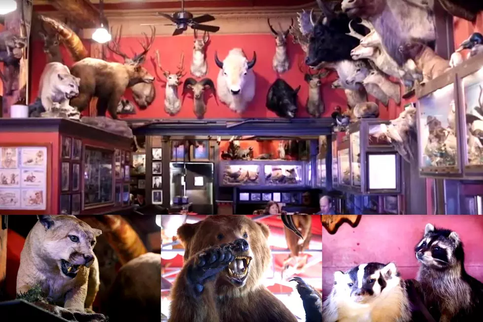 Dine with Stuffed Animals at One of Colorado’s Oldest Restaurants