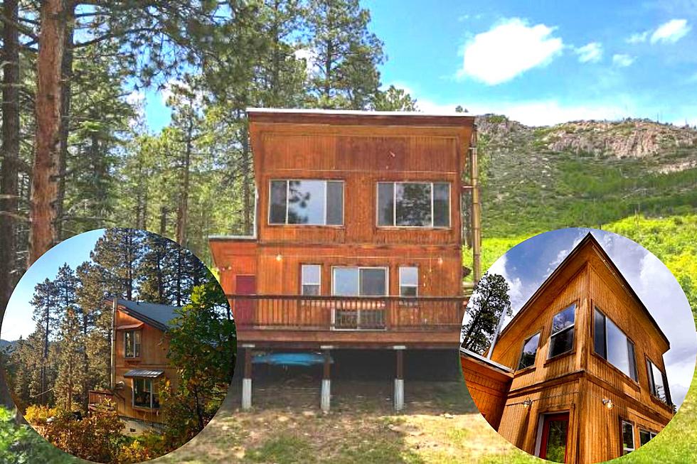 Home in the Colorado Wilderness is Practically an Adult Tree Fort
