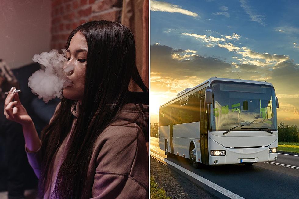 Colorado Could Be Seeing More Weed Buses in the Near Future