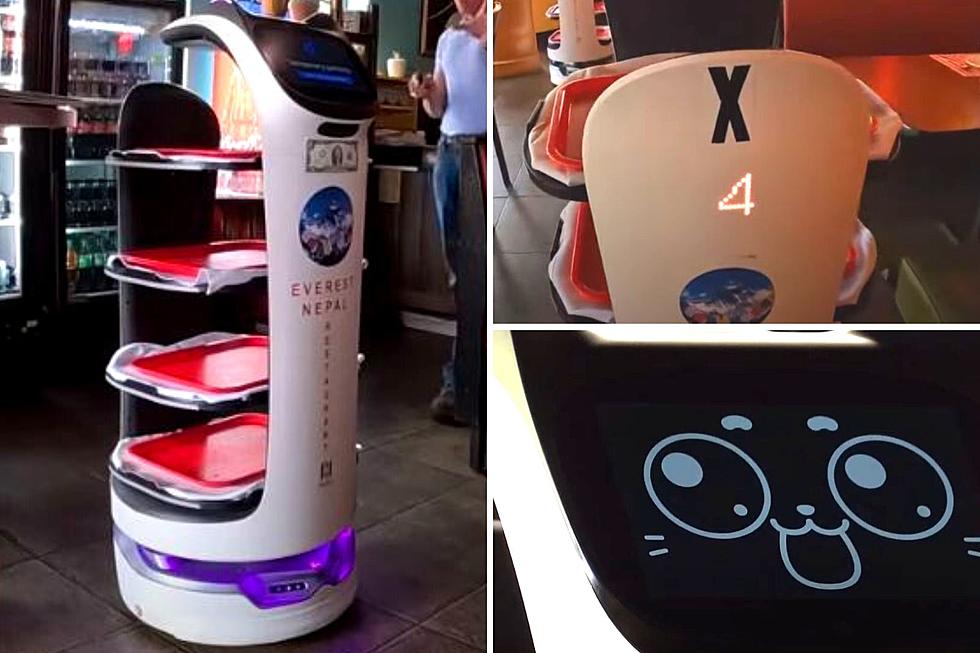 Robots Have Taken Human Jobs at a Colorado Restaurant