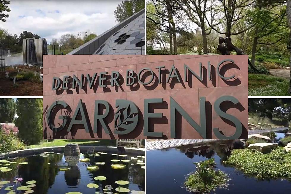 Explore Denver Colorado’s Botanic Gardens on a Relaxing Day Trip