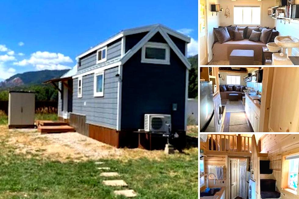 You Must See this Green Tiny Home For Sale in Colorado