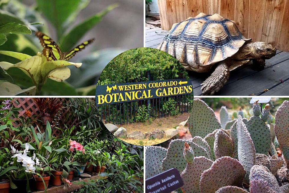 Take a Tour of the Beautiful Western Colorado Botanical Gardens