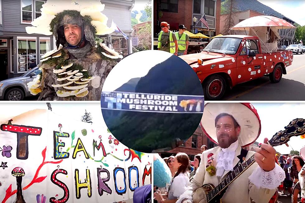What’s it Like to Attend the Telluride Colorado Mushroom Festival