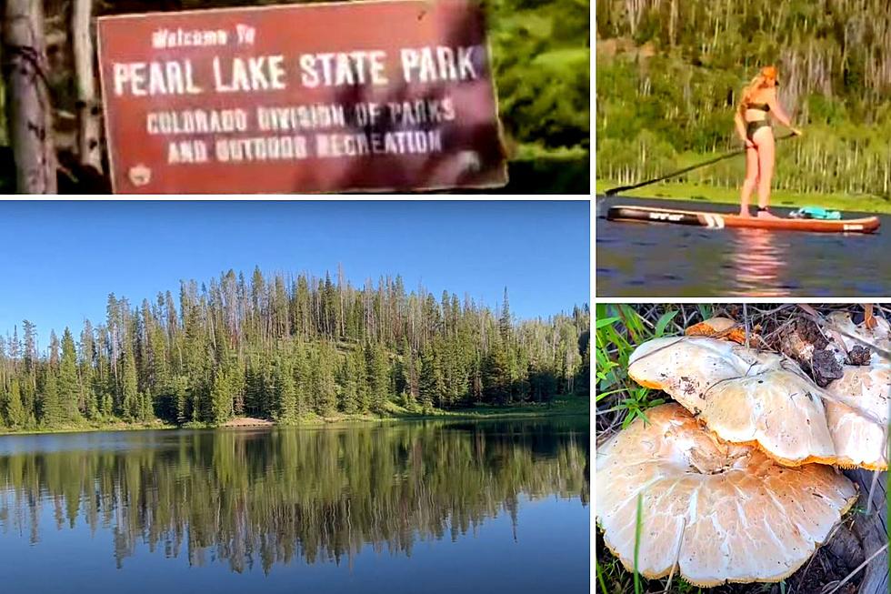 See the Beauty that Colorado’s Pearl Lake State Park Has to Offer