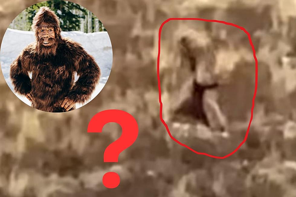 Alleged Bigfoot Sighting in Colorado Caught on Must See Video