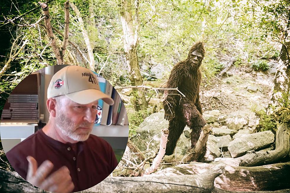 Colorado Bigfoot Expert Says Recent Sighting Was a Hoax