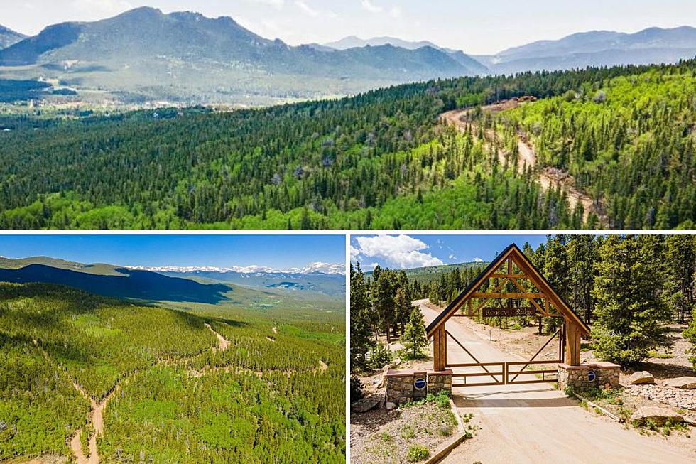 20 Beautiful Acres of Colorado’s Roosevelt Ridge are For Sale