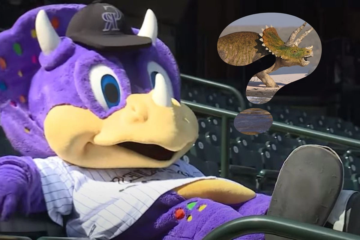 MLB REVERSE A PAL COLORADO ROCKIES 12″ World Plush Inc MLB REVERSE A PAL COLORADO ROCKIES 12″ World Plush Inc