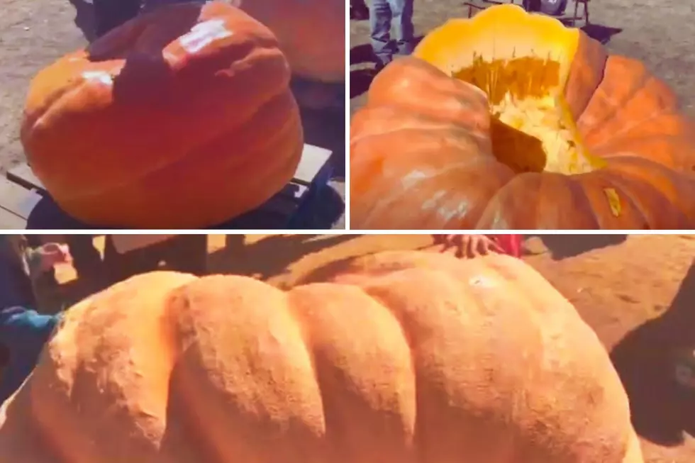 See Some of the Biggest Pumpkins in Colorado at this Festival